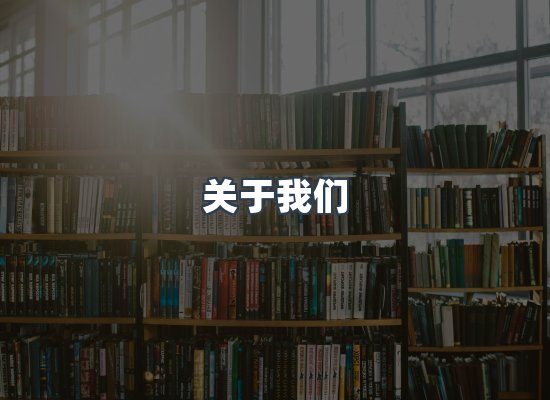 专业团队